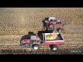D.R. Heilman Farms 2025 harvest The Farmer - Adam Warner