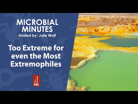 Too Extreme for even the Most Extremophiles