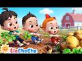 One Potato Two Potatoes Funny Counting Song For Kids LiaChaCha