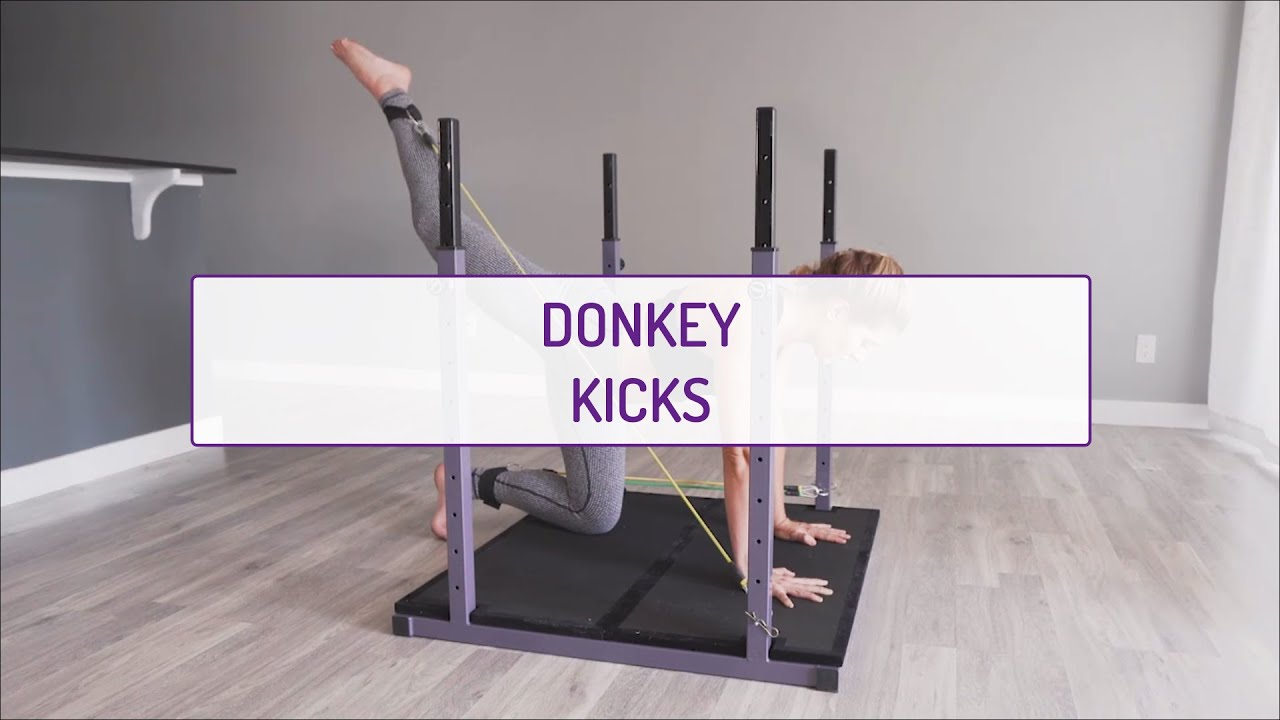 Donkey Kicks