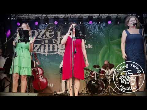 Deák Tamás - S. Nagy István : Látod, ez a szerelem / Swing-swing együttes