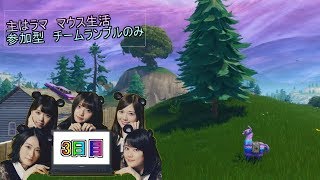 フォートナイト 主はラマ　マウス5日目　テスト配信