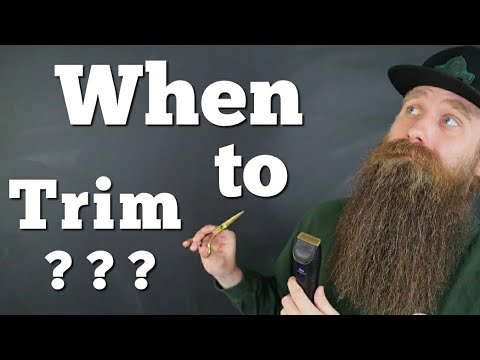 When to Trim your Beard?