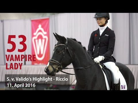 53 Vampire Lady Stute v. Valido's Highlight - Riccio