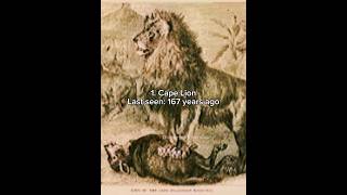 Animals that are extinct because of humans part 2 #prehistoric #earlyhumans #extinct