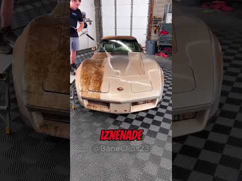 Deka Ponovo Vidi Svoj Auto 🚗✨