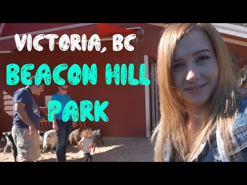 カナダの地元を紹介します♡ビクトリア市 My Hometown! Victoria, Canada (カナダの地元を紹介します♡ビクトリア市 My Hometown! Victoria, Canada)