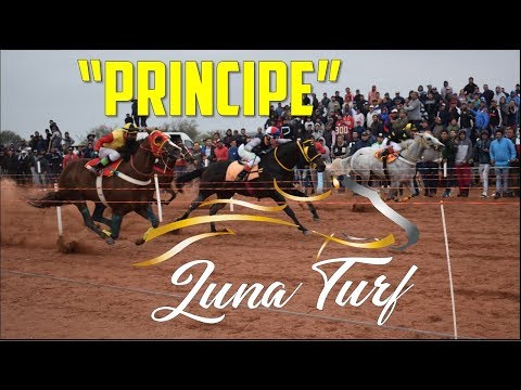 PRÍNCIPE - HIP. "DIFUNTA CORREA", PATQUIA L.R. -21/04/2019- MY LADY, Z REMOLINO Y LA MIA