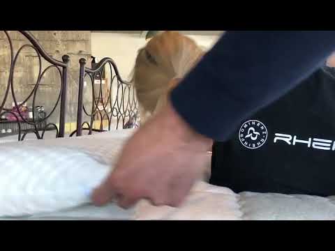 Die richtige Kissenhöhe des Nackenstützkissens der FMP ermitteln.