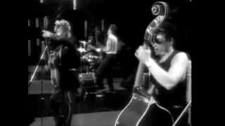 Stray Cats // Nine Lives  (Live This Country's Rockin')