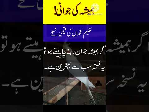 Hamesha Jawan Rehne Ka Tarika | Hakeem Luqman Health Tips #adab #hakeemluqman #quotes