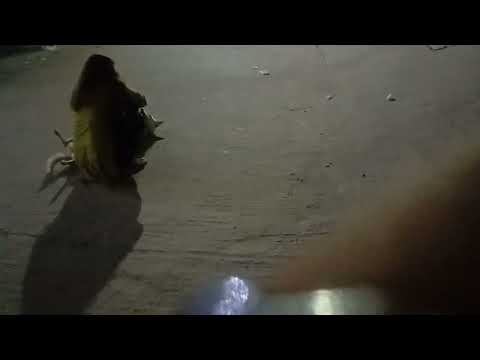 মেয়েটি কুকুরের সাথে কি করলো এটা | Dog # Oman # Tabassum 07 #  ভালো করে দেখুন