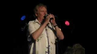 THE (ACOUSTIC) STRAWBS W/ JOHN WESLEY HARDING -- &quot;WILL YOU GO&quot;