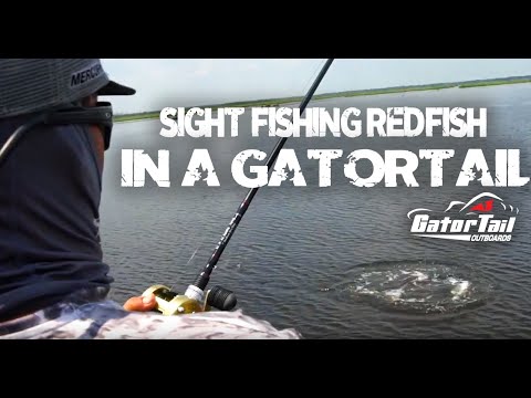 Sight Fishing Redfish Louisiana