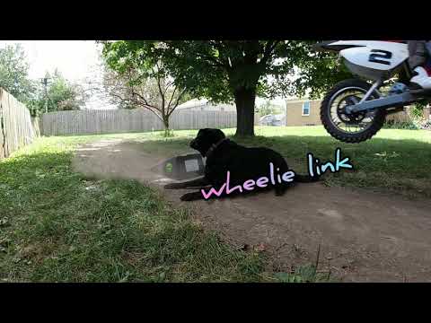 8 YEAR OLD JUMPS DIRT BIKE OVER HIS DOG