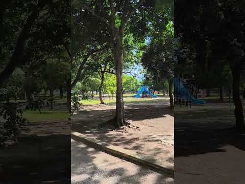 Parque Santos Michelena de Maracay Edo Aragua Venezuela #podcast #mariale #Sol #diosesbueno  #Fe