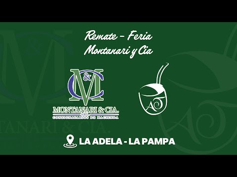 🔴🔴EN VIVO🔴🔴 Remate feria Montanari & Cia- 📍La Adela - La Pampa
