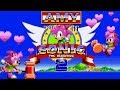 Sonic Hack Amy Rose In Sonic The Hedgehog 2