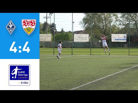 EnBW-Oberliga - B-Junioren: SV Waldhof Mannheim - VfB Stuttgart II 2023/24