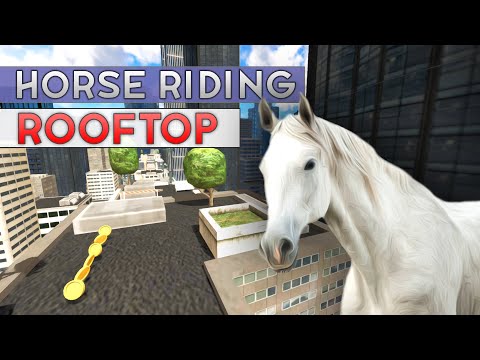 Horse Riding Rooftop Video