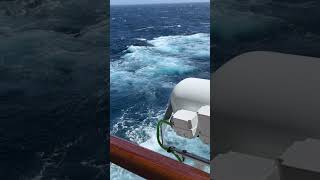Discover cruising up close | Cunard #shorts