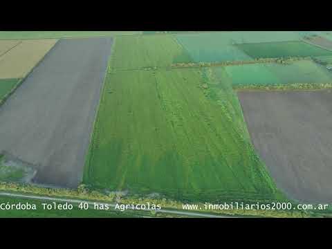 Córdoba Toledo 40 has Agricolas