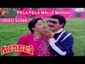 Pilla Pilla Malle Mogga Video Song Goonda Rajyam Krishna Vijaya Shanthi Sarada V9 Videos