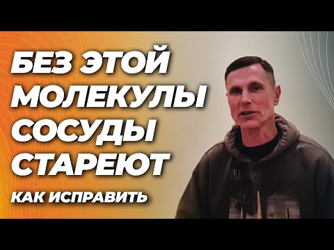 Если организму не хватает этой молекулы, сосуды быстро стареют. Как это исправить Если организму не хватает этой молекулы, сосуды быстро стареют. Как это исправить
