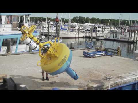 WCS-Woods Hole Acoustic Buoy Deployment in NY Bight | Blue York