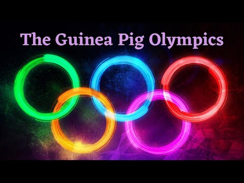 The Guinea Pig Olympics
