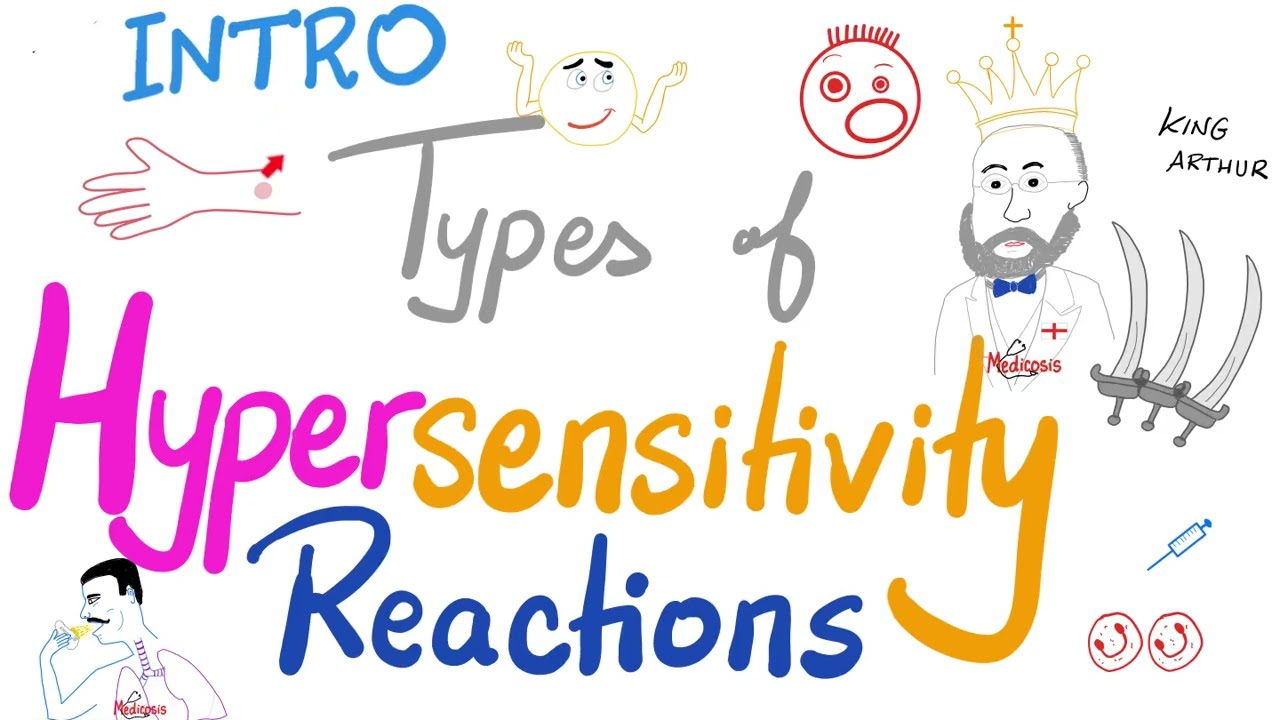 Introduction to Hypersensitivity Reactions | Immunology