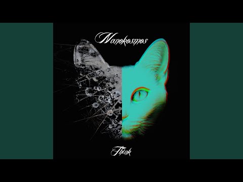 Think (Maaksel Remix)