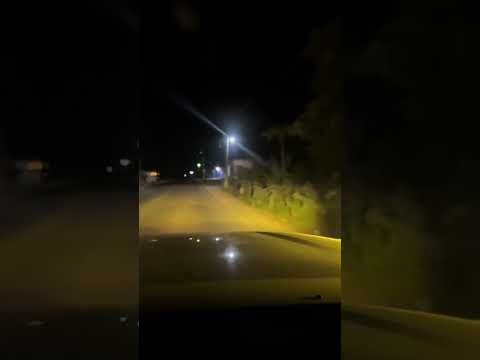 Claramente pertenece a Livingston Izabal trixi