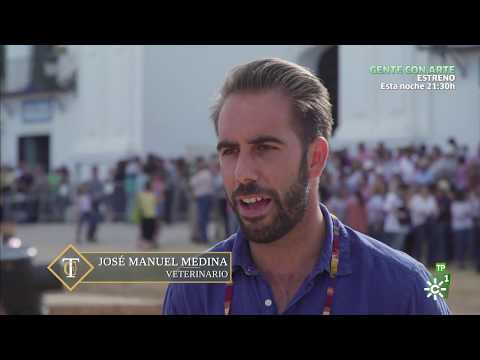 TodoCaballo | La saca de yeguas de Doñana