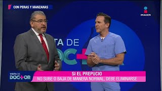 ¿Qué es el prepucio ¿en qué afecta el retirarlo | Visita de Doctor
