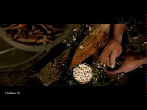 Luv Shuv Tey Chicken Khurana (2012) Trailer