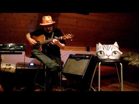 Lubomír Staš - Blues pro Kočku