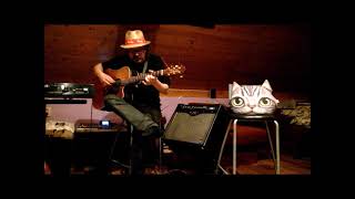 Video Blues pro Kočku