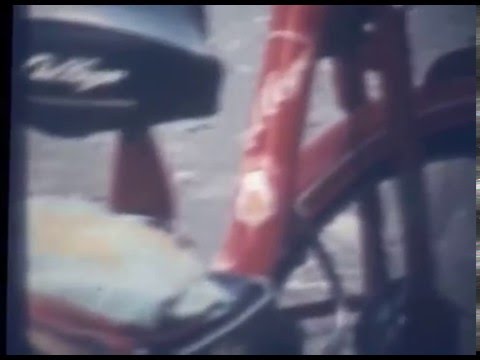 Parassita in un naso Asma o parassiti