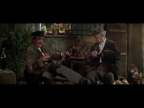 Funny video of Louis de funes