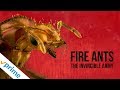 Fire Ants The Invincible Army Trailer Available Now