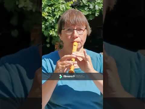 blokfluit-Academie Bornem