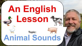 Let's Learn English! Topic: Animal Sounds! 🐄🐖🦆