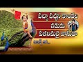 Pacha Pachani Kondala Naduma Manikanta Swamy 9963888703 9133844424 Kondala Swamy
