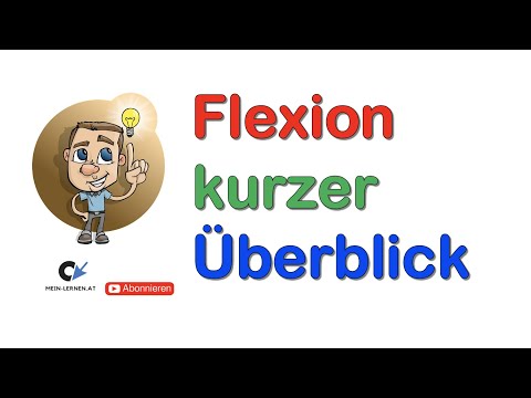 Die Flexion Überblick