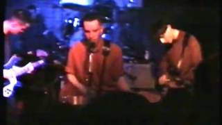 McCarthy Lille 1988 Anti Nature