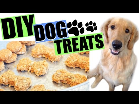 4 Ingredient DIY Dog Treats | Cooking in the Kitchen with Kids Collab! Video