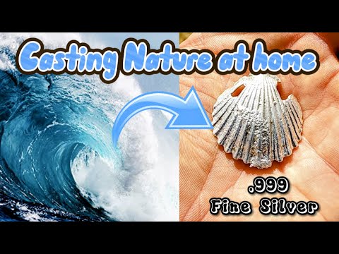 Casting Nature at Home - Small Seashell - Sand Casting - (.999 Fine Silver)
