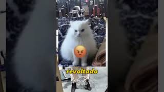 O CARA MAIS FORTE DA ACADEMIA