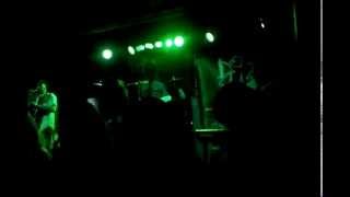 Dog fashion disco Leper friend